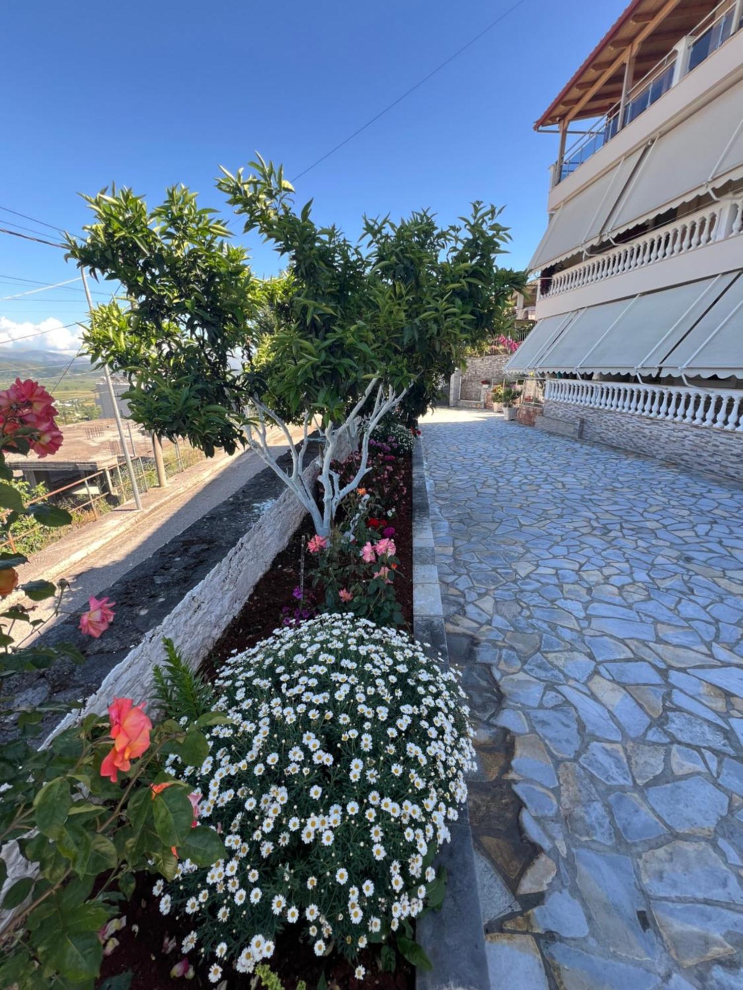 Apartment Amazing Familiar And Sarandë