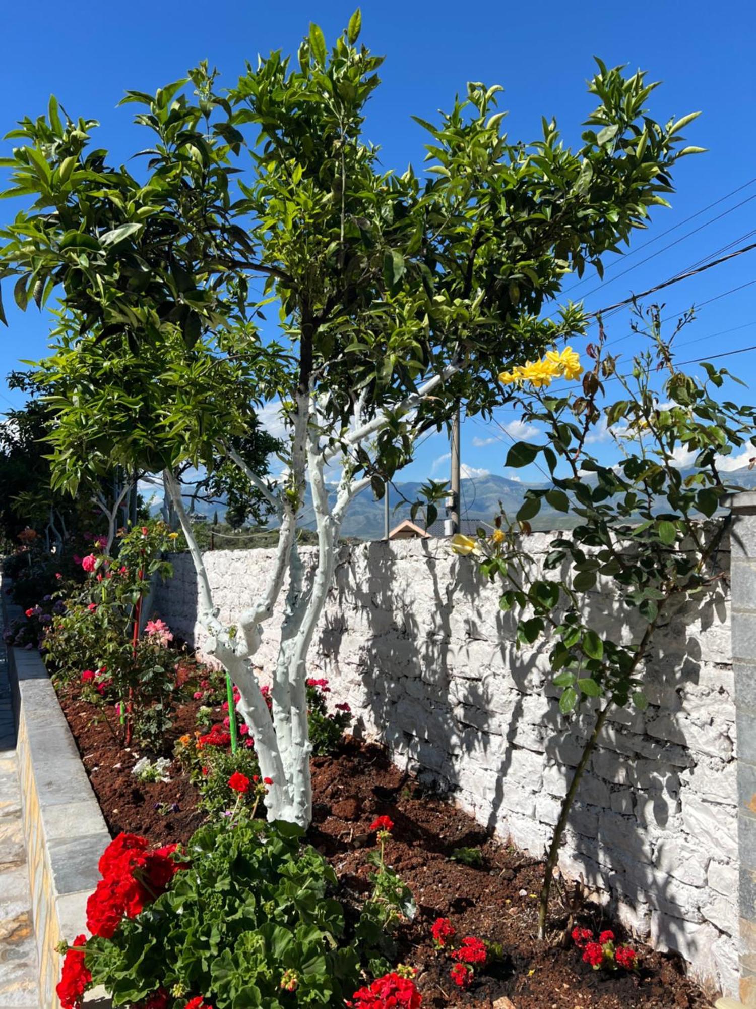 Amazing Familiar And Apartment Sarandë